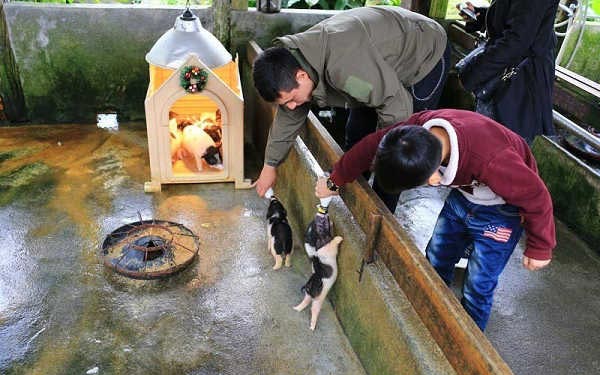 照片：「許小布」BLOG