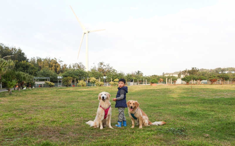 照片：「miniko」BLOG