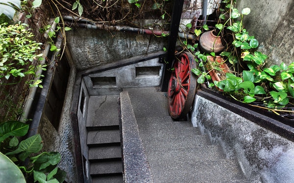 照片：「披著虎皮的貓」BLOG