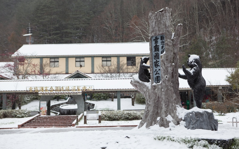 照片：「miniko」BLOG