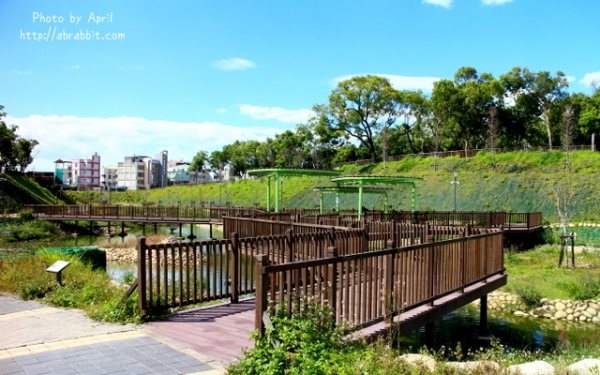 照片：「兔兔」BLOG