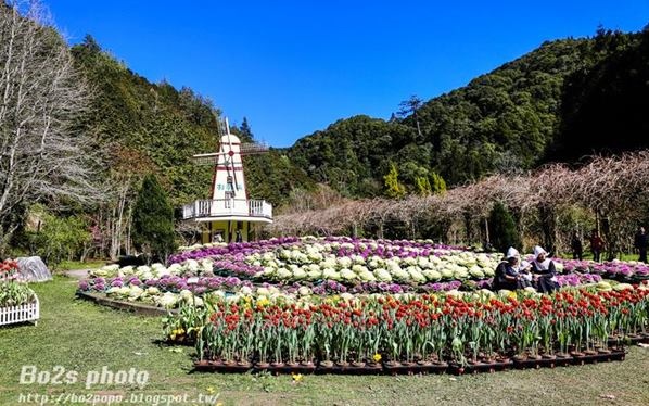 照片：「豬小詠」BLOG
