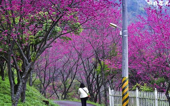 照片：「假日農夫」BLOG