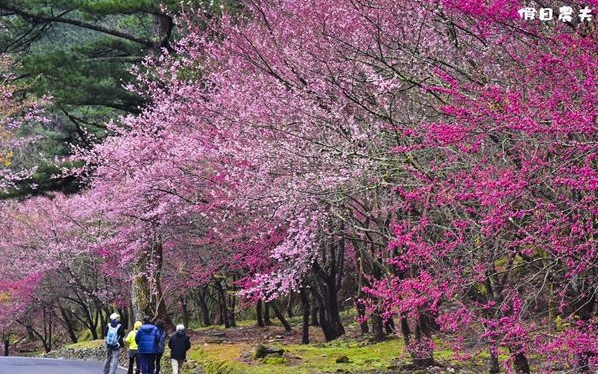 照片：「假日農夫」BLOG