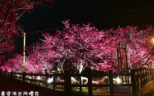 照片：「假日農夫」BLOG
