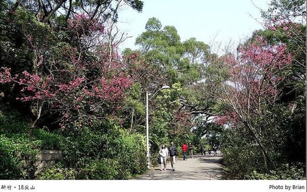 照片：「Brian」BLOG