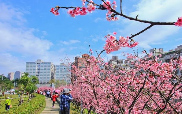 照片：「小風」BLOG