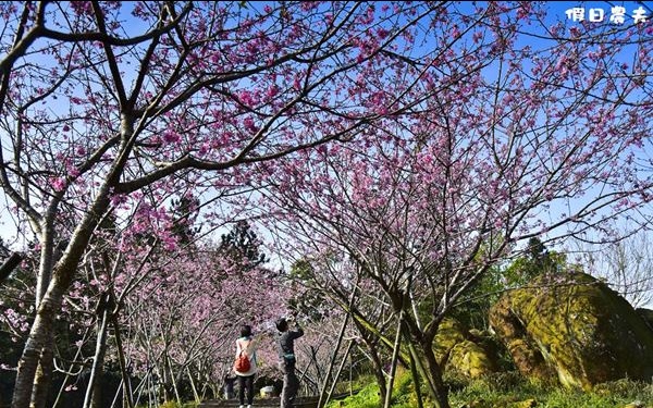 照片：「假日農夫」BLOG