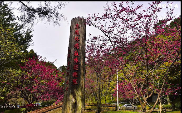 照片：「假日農夫」BLOG