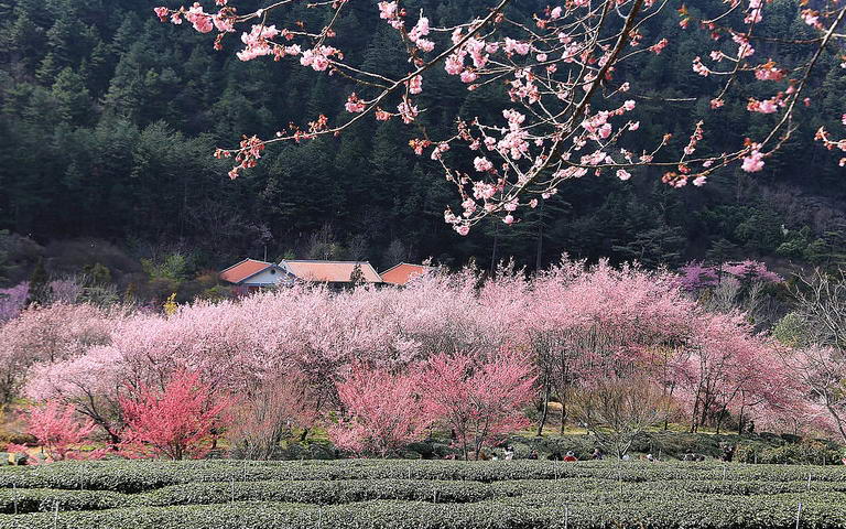 照片：「陳小可」BLOG