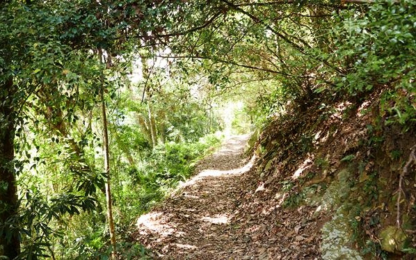 照片：「bluehawaii」BLOG