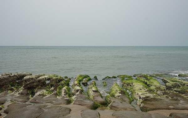 照片：「妮可」BLOG