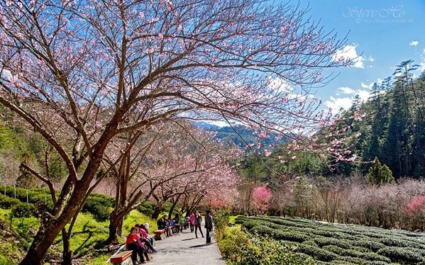 照片：「皮皮君」BLOG