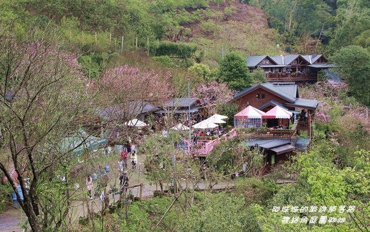 照片：「阿珠珠」BLOG