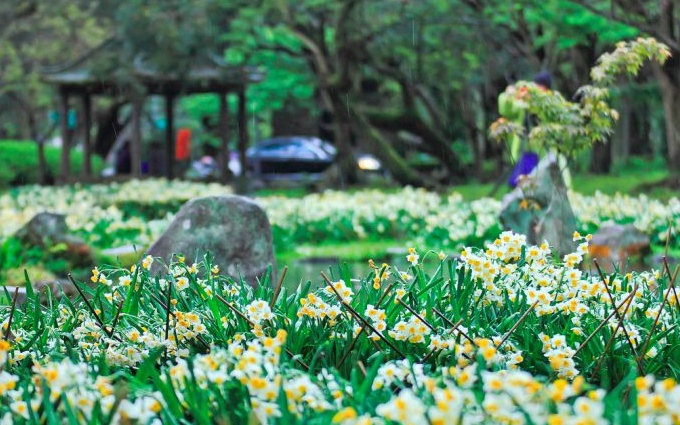 照片：「小風」BLOG