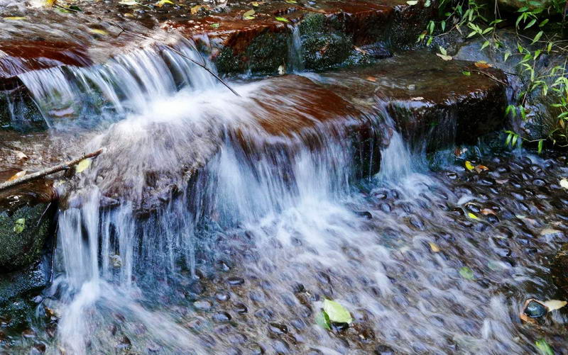 照片：「bluehawaii」BLOG