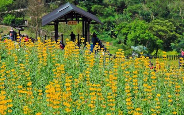 照片：「小風」BLOG