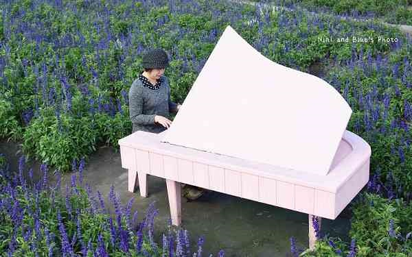 照片：「Nini and Blue」BLOG