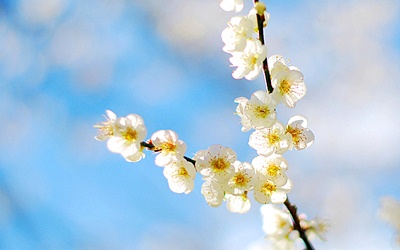 照片：「TAO」BLOG
