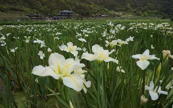 照片：「嘎眯」BLOG