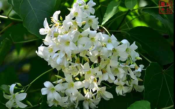 照片：「假日農夫」BLOG