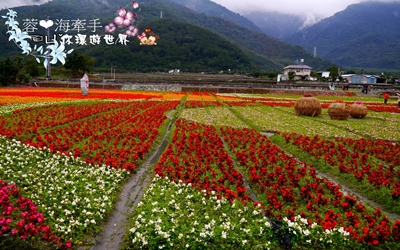 照片：「蓉蓉」BLOG