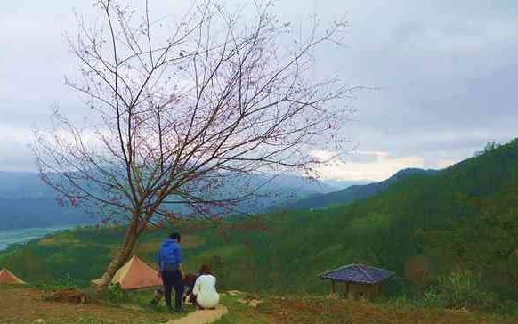照片：「阿珠珠」BLOG