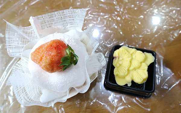 照片：「加小菲」BLOG