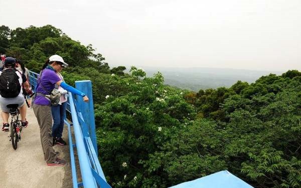 照片：「Brian」BLOG