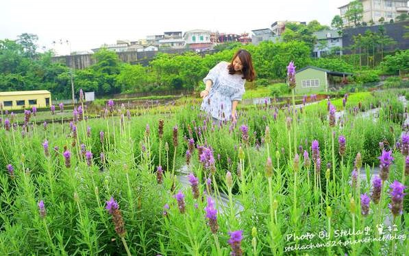 照片：「❤Stella史黛拉 ❤」BLOG