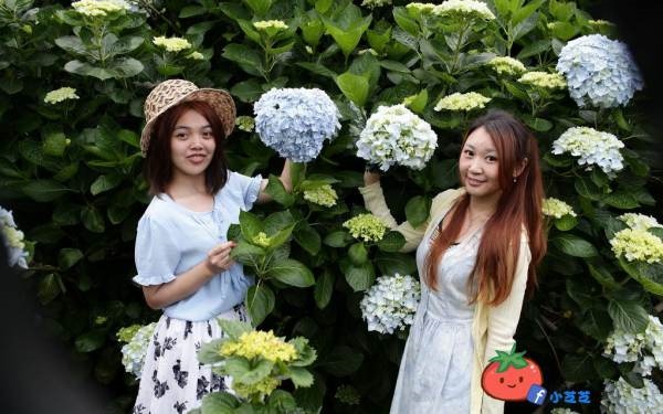 照片：「小芝」BLOG