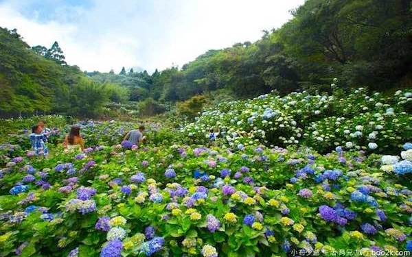 照片：「許小布」BLOG