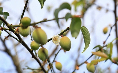 照片：「轉角」BLOG