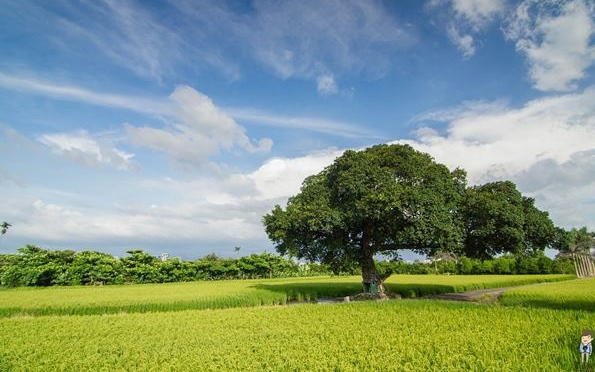 照片：「富嵃」BLOG