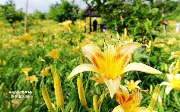 照片：「小靜怡」BLOG