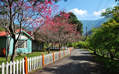 照片：「TAO」BLOG