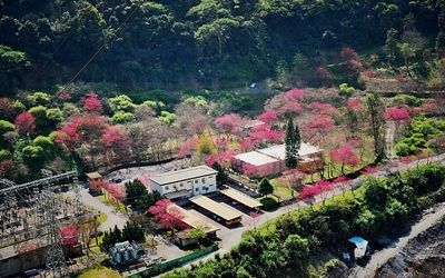 照片：「TAO」BLOG