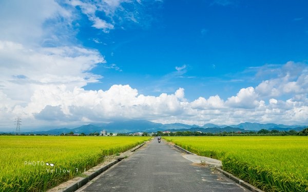 照片：「黃大黃=阿春爸」BLOG