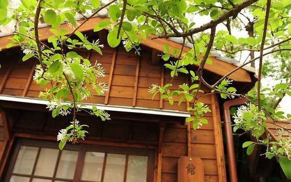 照片：「Brian」BLOG