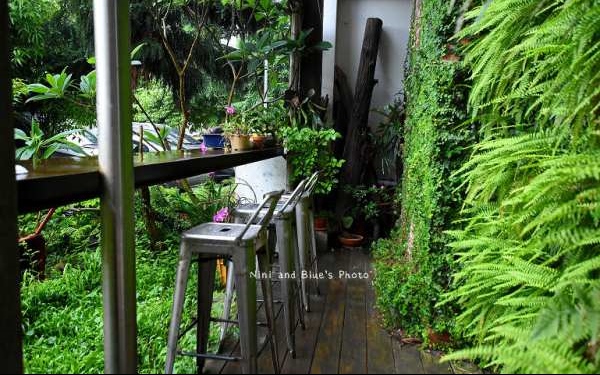 照片：「Nini and Blue」BLOG