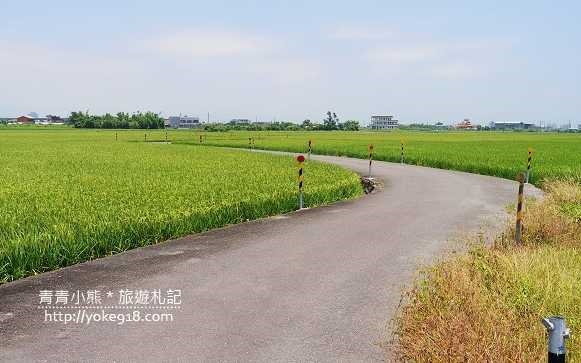 照片：「青青」BLOG