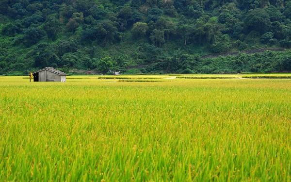 照片：「TAO」BLOG