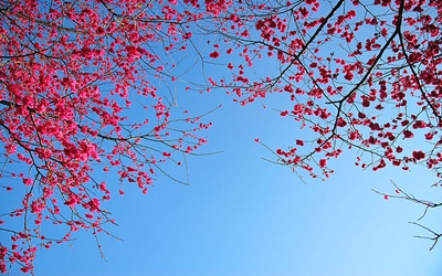 照片：「TAO」BLOG