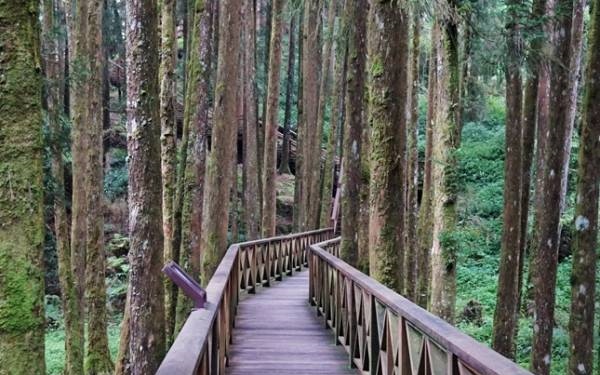 照片：「嘎眯」BLOG