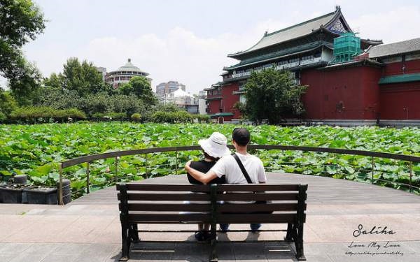 照片：「莎莉哈小姐」BLOG