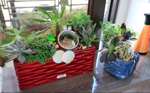照片：「野蠻王妃」BLOG