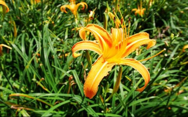 照片：「鄧涵榛」BLOG