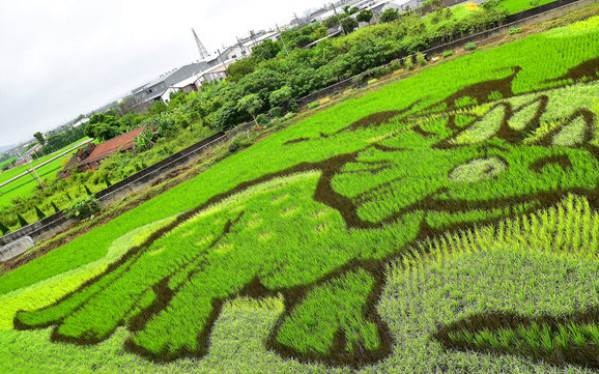 照片：「小玉兒」BLOG