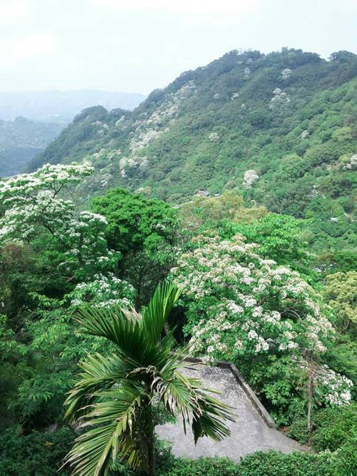 特惠包山包莊的圖片
