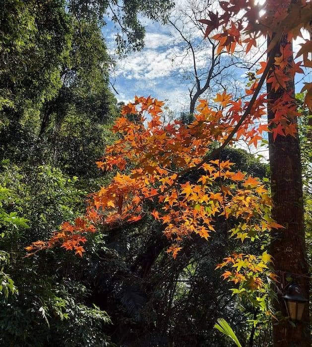 特惠包山包莊的圖片